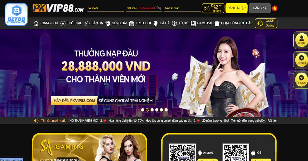 Giới thiệu chung về cổng game PKvip88 uy tín